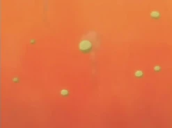 les ames artificielles