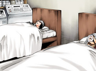 Rukia and Renji lying in the recovery room.