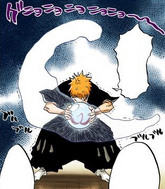 Ichigo attempts to form a barrier with the Reishūkaku.