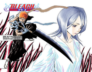 The color spread cover of chapter 85, featuring Ichigo and Rukia.