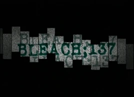 Bleach 137