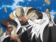 Komamura blocking Kenpachi from attacking Tōsen.