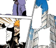 Ichigo refuses to believe Aizen's claims since they contradict what he had previously established.