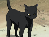 Yoruichi's cat form.