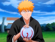 Ichigo dostaje Reishūkaku.