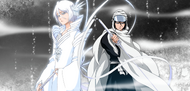 Rukia Kuchiki with her Shikai and Bankai.