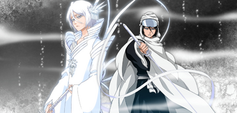 Rukia Kuchiki Expanded Universe Bleach Wiki Fandom