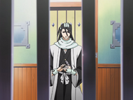 Byakuya delivers the news of Rukia's condemnation.