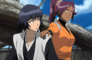 Yoruichi stops Suì-Fēng from pursuing Ichigo and Renji.