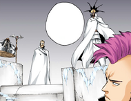 NaNaNa and his comrades join Bazz-B's confrontation with Ichigo Kurosaki.