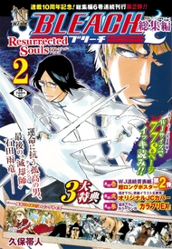 Bleach Resurrected Souls 2