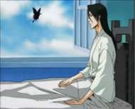 Byakuya Kuchiki hears of the disruption in Soul Society.