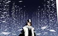 Byakuya activates his Bankai, Senbonzakura Kageyoshi.