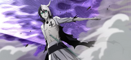 Ulquiorra after exposing his Espada rank.