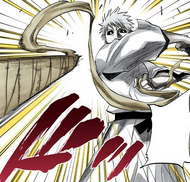 Zangetsu throws Zangetsu at Ichigo Kurosaki to initiate Deadly Darts.
