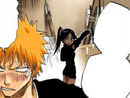bleach 3rd phantom bankai training guide 116Yoruichi teases