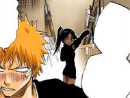 Yoruichi teases Ichigo over his reaction to her nudity.