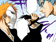 Ichigo grabs Grimmjow's hand when the latter tries to attack him.