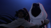Pernida-vs-Yoruichi-396