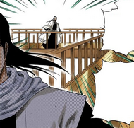 119Byakuya leaves