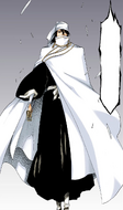 Byakuya arrives at the site of Rukia's battle.