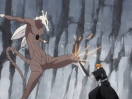 Ichigo clashes with Parateraul.