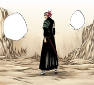 Bankai Training, Bleach Wiki