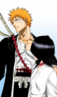 Ichigo declares that he has come here to save Rukia.