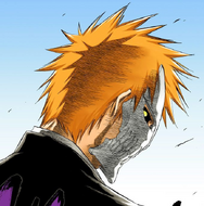 Ichigo looks back at Grimmjow.