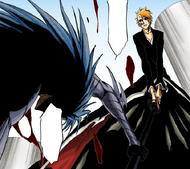 284Grimmjow grabs