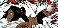 Featured image of post Bleach Wikia Yoruichi