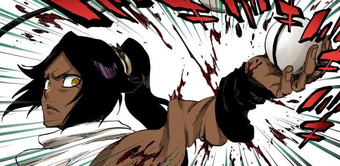 Yoruichi ShihÅin Bleach Wiki Fandom Shihoin klanından kalan son insandır.dört büyük klandan biri olan shihouin klanının prensesidir.değer verdiği dostları. yoruichi shihÅin bleach wiki fandom