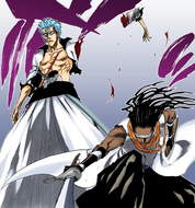 Tōsen severs Grimmjow's left arm as punishment.