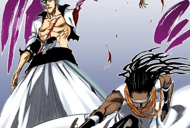 ＢＬＥＡＣＨ Visored! The Power of the Awakened | Bleach Wiki | Fandom