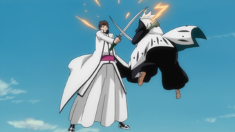 The Gotei 13 The Visored Vs SÅsuke Aizen Bleach Wiki Fandom Aizen fights the captains and vizards first attempt for an amv so comments are aprecciated anime: visored vs sÅsuke aizen bleach wiki