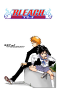 Tatsuki and Ichigo on the cover of Chapter 18.