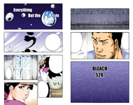 The cover pages of 528. Everything But the Rain.