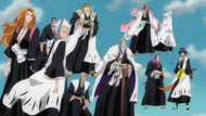 Komamura and the other captains and lieutenants gather in the Fake Karakura Town,