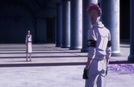 Bazz-B informs Haschwalth of the fate of the other Sternritter.