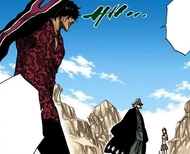 Sado protests Urahara's decision to keep Orihime from fighting.