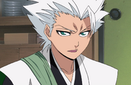 Hitsugaya states he is in charge of this mission.