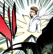 Urahara binds Aizen with Bakudō #61. Rikujōkōrō.