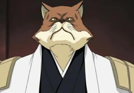 Sajin