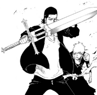 Ginjō protects Ichigo.