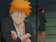 Ichigo i Yoruichi.