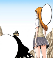 Urahara informs Orihime that she will not be taking part in the upcoming battle.