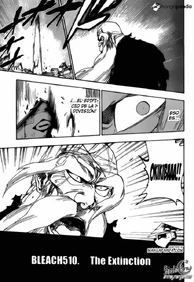 Bleach510