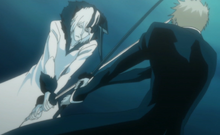 Tensa-Zangetsu vs. Ichigo