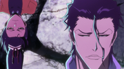 Askin-vs-Yoruichi-406