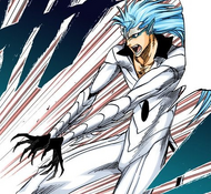 Grimmjow prepares to use Desgarrón.